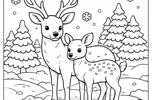 ๐ฆ์ฌ์ด ์์น ๊ณต๋ถ ๋์ / ์ฌ์ด์ ์ ๋ฟ์ด ์์๊น? deer coloring page